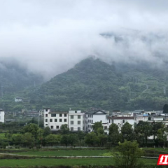 散文 | 又见汝城