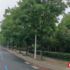 北湖区这个案子入选湖南省第三批生态环境损害赔偿典型案例