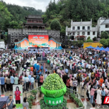 以“村厨大赛”为媒探索乡土人才培育新路径