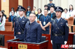 西藏自治区人民政府原副主席王勇受贿案一审宣判