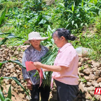 桂东县青山乡用“红纽带”连心富民