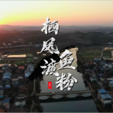 郴品郴味 “湘”当有味 | 苏仙地道美味：栖凤渡鱼粉