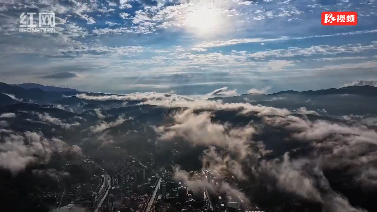 云端菜园：富硒蔬菜直达大湾区
