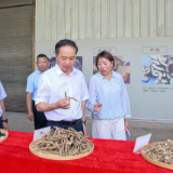 持续推进“六大新行动” 全面彰显“七个新担当”督战进行时：守底线 保安全 兴产业 助振兴