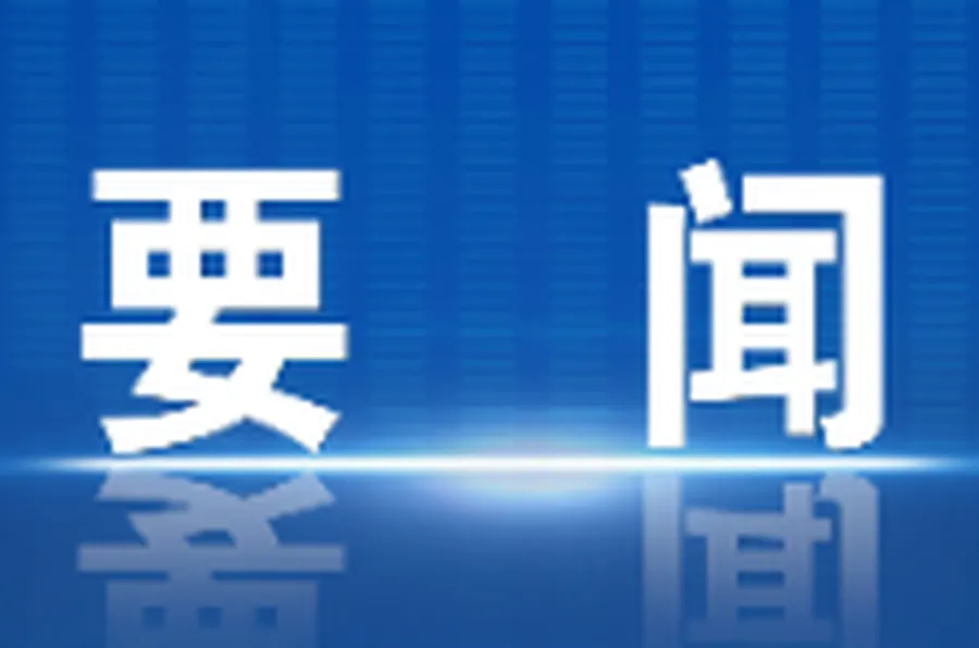 大湾区沉浸式培训日记丨湾区淬炼启新程——年轻干部湾区沉浸式培训行思录