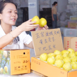 汝城：云端助农架“金桥” 文明柰李产销旺