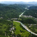 湖南林业产业看安仁 30万亩药材绘就乡村振兴新图景