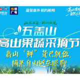 视频 | 避暑康养，相约郴州！苏仙区五盖山高山果蔬采摘节即将来临，高山“鲜”货已就位，摘果自由近在眼前！