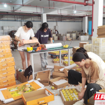 汝城：水果熟了 日子甜了