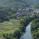 苏仙区：春光葡萄香满园 采摘乐趣引客来