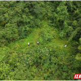 警民联动科技助力 北湖区鲁塘镇快速找回走失村民
