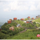 桂东避暑旅游火爆出圈 全域康养体验再升级