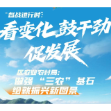 督战进行时丨看变化 鼓干劲 促发展 苏仙区农业农村局：做强 “三农” 基石  绘就振兴新图景