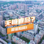 湘南学院附属医院· 科普辟谣：无糖食品？甜蜜陷阱！均衡饮食才是健康之道