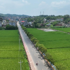 宜章县一六村：风吹稻浪乡村美