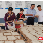 金融活水滴灌非遗匠心——邮储银行郴州分行赋能安仁淌皮香飘万里