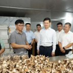 因地制宜发展新质生产力 持之以恒推动产业攀高向新