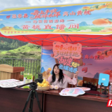 桂东县举办“云上丰收・桃醉禾坪”直播带货助振兴活动
