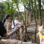 宜章莽山：“萌宠”狂欢嗨翻暑期