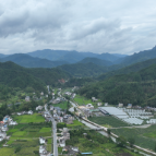 哲学里的郴州丨让放心水长流，桂东槐村“三位一体”管出甘甜