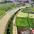 临武人大:精准监督护绿水青山