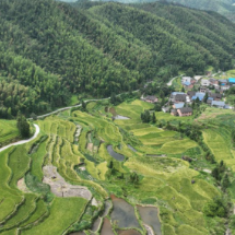 宜章县玉溪镇黄岑村：高山禾花鱼抢“鲜”上市