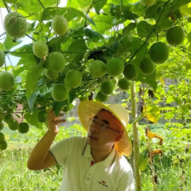 资兴长坌村：重灾一年后的重生与希望