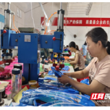 桂东桥头乡：返乡青年带富乡邻