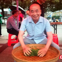 桂东县桥头乡：“红纽带”串起产业链 茶竹粽叶铺就幸福途