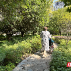 嘉禾县：“公园式疗愈”焕新就医体验