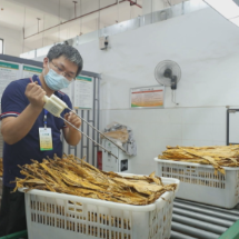 安仁县:推行烟叶收购数字化见实效 烟农预约交售省时省力