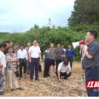 临武县召开秸秆综合利用现场观摩会