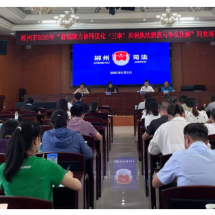 郴州府院联动同堂培训 聚力优化“三率”促执法规范