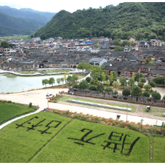 2025年郴州旅游发展大会 | 一座没有围墙的博物馆 宜章县腊元古村焕新颜