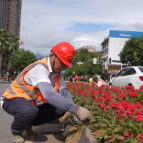 2025年郴州旅游发展大会 | 宜章县城市管理和综合执法局：匠心“梳妆”迎旅发 县域环境展新颜