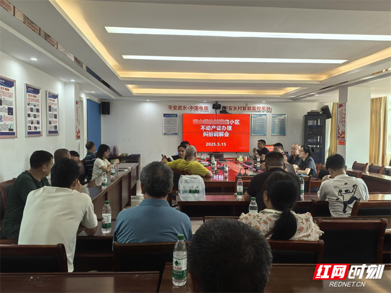 临武法院：“法”护营商 “优”无止境