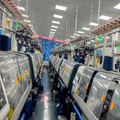 嘉禾县：厚植沃土引“凤”来