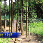 视频 | 北湖区花园村：小野树结出“致富金果” 