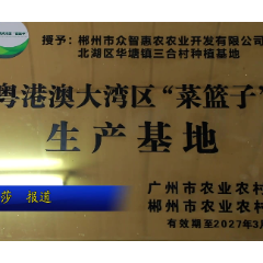 “五新同步”赋能蔬菜产业 北湖绿色蔬菜直通大湾区餐桌