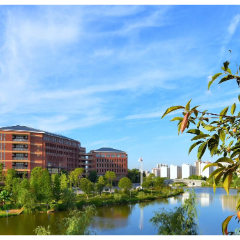 散文 | 怀念那段浸着香与暖的青春