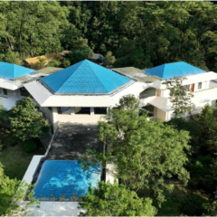 2025年郴州旅游发展大会 | 宜章莽山:生态科普中心“探秘”热