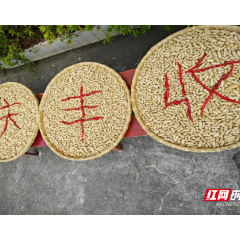 桂东县大塘镇:歌舞欢腾 庆丰收