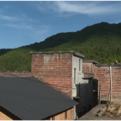 久病床前有孝子 两兄弟辞职回家照顾母亲十二载