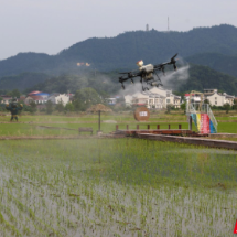 安仁县：“敢”字当头 “气象”赋能