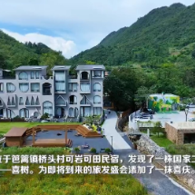 视频  | 宜章县：喜树挂果添新景 旅发盛会赏秋实