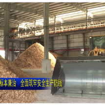 视频 | 坚持举一反三 标本兼治 全面筑牢安全生产防线