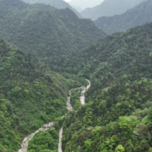 宜章县溶家洞国有林场:珍稀动物频繁“出镜” 生态环境持续向好