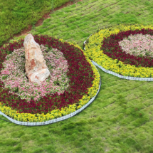 2025年郴州旅游发展大会 | 宜章县:鲜花绽放迎盛会