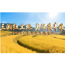 视频 | 汝享丰年