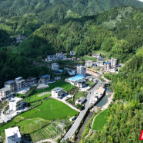 散文 | 幽居秋里共时光